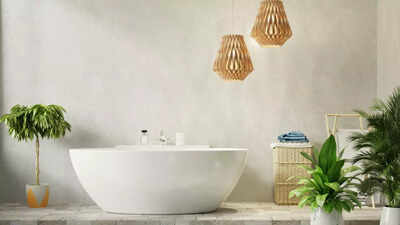 10 low maintenance plants perfect for humid bathroom environments.jpg