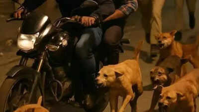 1757404617 unnamed file.jpg