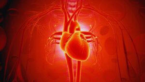 1757865655 unnamed file.jpg