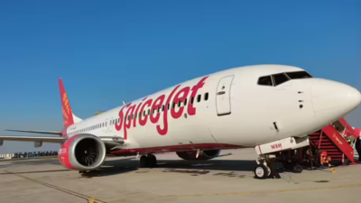 1757883993 unnamed file.jpg