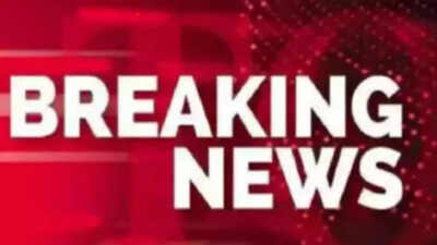 1758033697 representative image.jpg