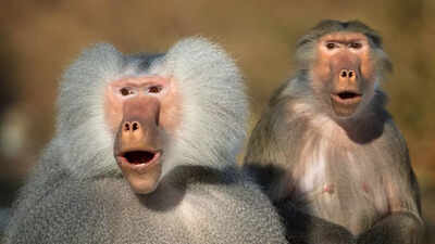 1758356799 representative image.jpg