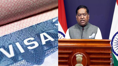 1758399997 unnamed file.jpg