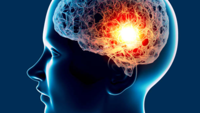 1758637505 file image.jpg