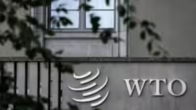 1758719507 unnamed file.jpg