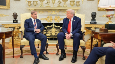 1758876413 unnamed file.jpg