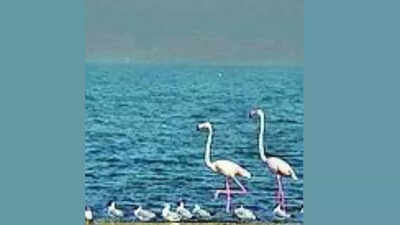 1759009512 unnamed file.jpg