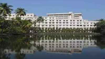 1759010088 unnamed file.jpg