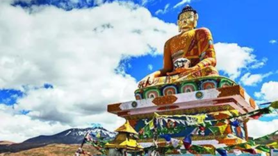 1759015009 unnamed file.jpg