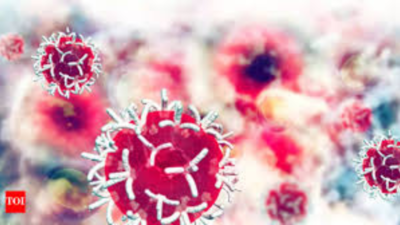 1759100242 unnamed file.jpg