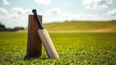 Bat and stump on cricket field.jpg