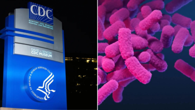 Cdc representative image credit ap photo.jpg