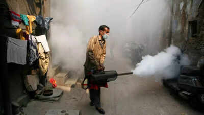 Fight against dengue and malaria outbreaks.jpg