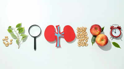 Kidney transplant recovery diet best foods meal tips and lifestyle changes.jpg