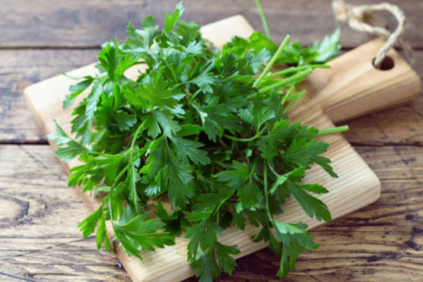 Msid 123824030imgsize 1264897.cms .png