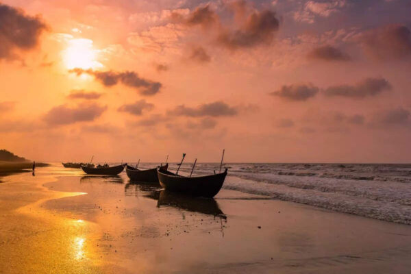 Msid 123856677imgsize 57808.cms .jpeg