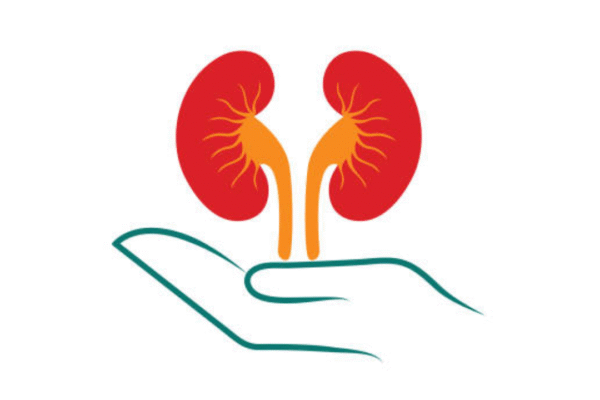 Msid 123864389imgsize 219289.cms .png