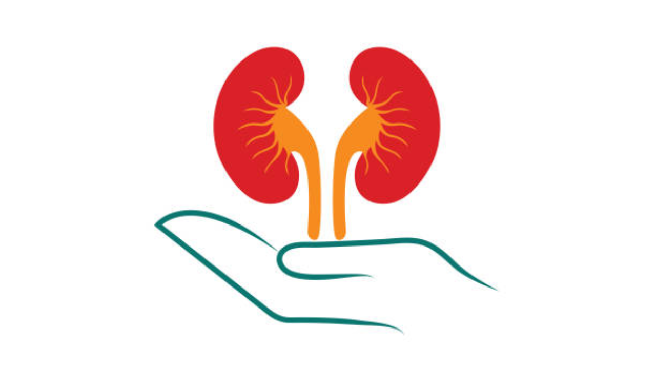 Msid 123864389imgsize 219289.cms .png