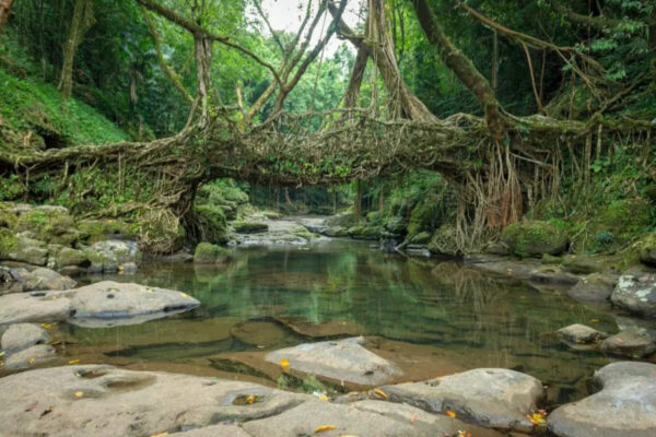 Msid 123904796imgsize 153896.cms .jpeg