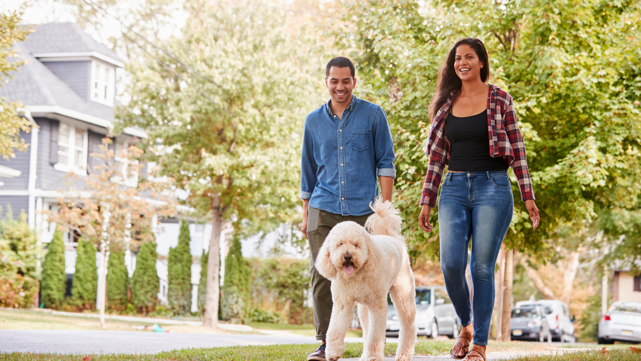 Msid 123946054imgsize 1798156.cms .png