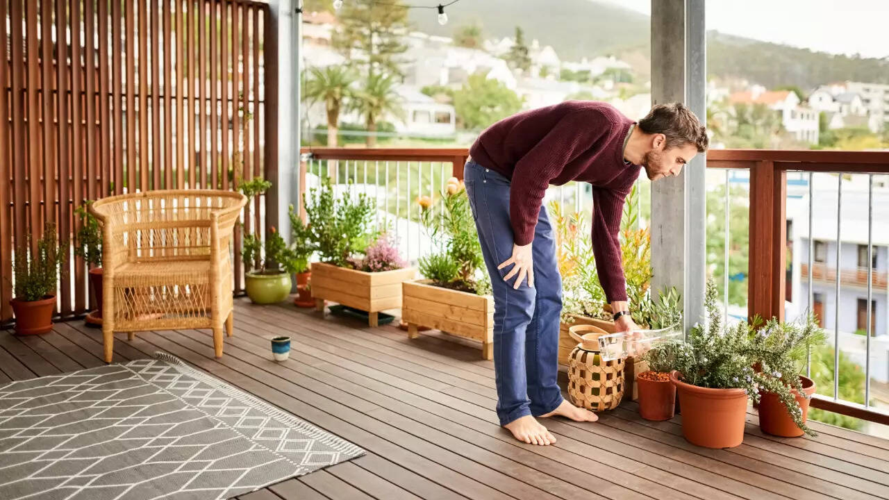 Msid 123975720imgsize 115296.cms .jpeg