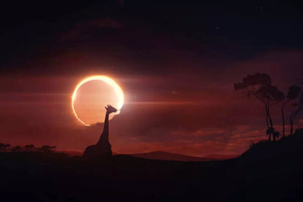 Msid 124019826imgsize 11500.cms .jpeg