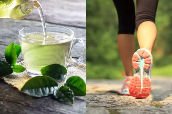 Msid 124037802imgsize 59428.cms .jpeg