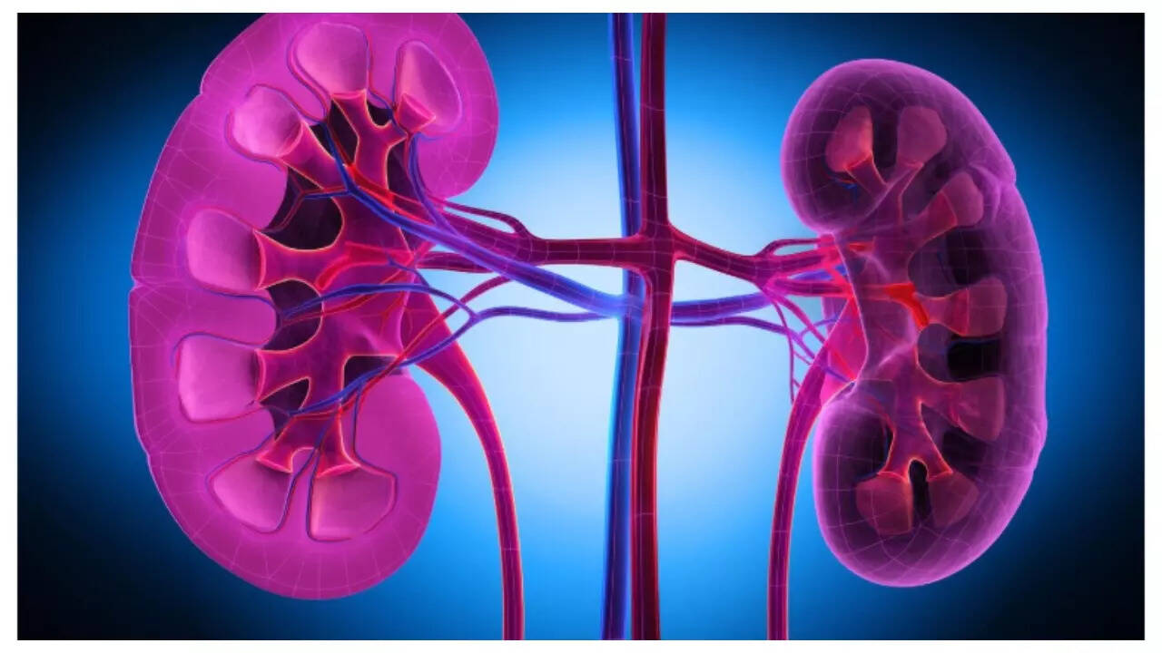 Msid 124041867imgsize 39248.cms .jpeg