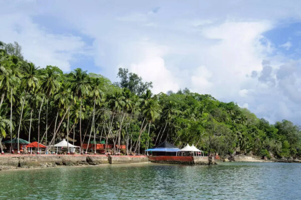 Msid 124160223imgsize 152676.cms .jpeg