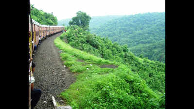 Patalpani kalakund rail section declared heritage site.jpg