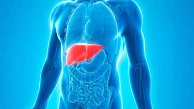 Stand up for your liver how sitting less can reduce liver disease risk.jpg