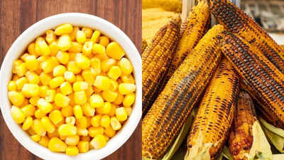 Sweet corn vs desi bhutta which is better for weight control and blood sugar.jpg