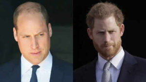 Untitled design 2025 09 09t055500527.jpg