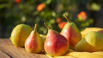 What is babugosha called in english know its health benefits how it helps boost immunity and manage diabetes.jpg