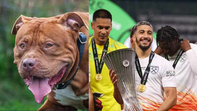 1280720 photos 2025 10 16t224810927.jpg