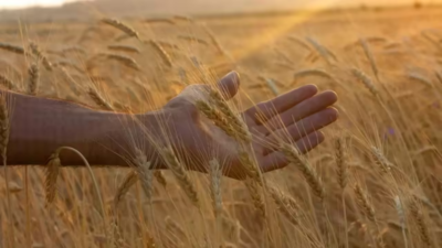 1759316943 unnamed file.jpg