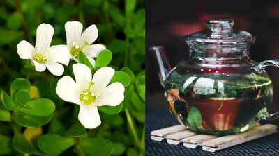 1759520980 credits canva.jpg