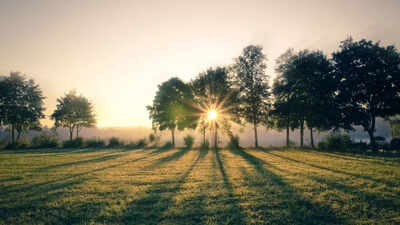 1759779625 credits canva.jpg