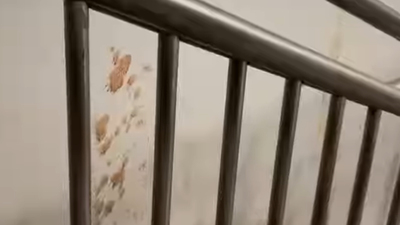 1760090852 untitled design 22.jpg