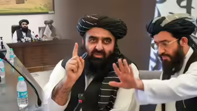 1760310139 untitled design 5.jpg