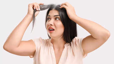 1760472417 credits canva.jpg