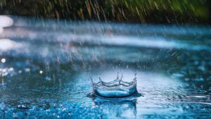 1761447263 heavy rainfall.jpg