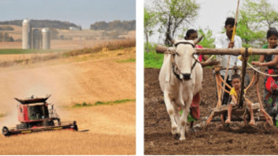 1761656373 unnamed file.jpg