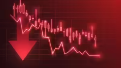 1761759906 unnamed file.jpg