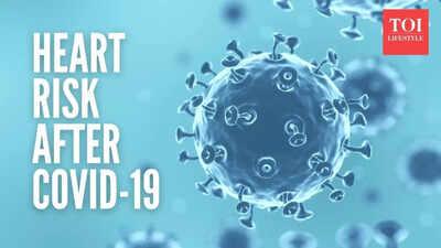 1761910462 image credits canva.jpg