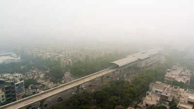 8 indoor plants to beat winter smog and keep your home air clean.jpg