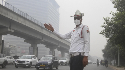 A new study reveals open fires account for over 50 of delhi39s particulate matter pollution causing visible smog.jpg