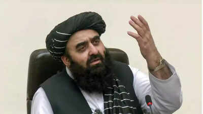 Amir khan muttaqi.jpg