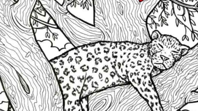 Credits the valley vanguard david miller.jpg