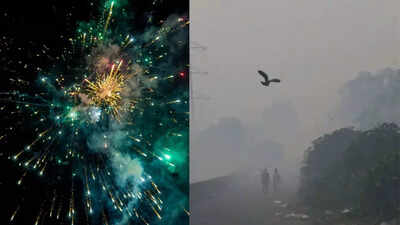 Delhis air pollution surges to hazardous levels post diwali threatening lungs heart brain and overall health heres how to stay safe.jpg